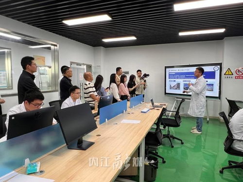 从“一”到“百” 内江以技术咨询为雨露，让创新种子长成产业森林